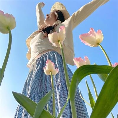 新包青天之冰魄