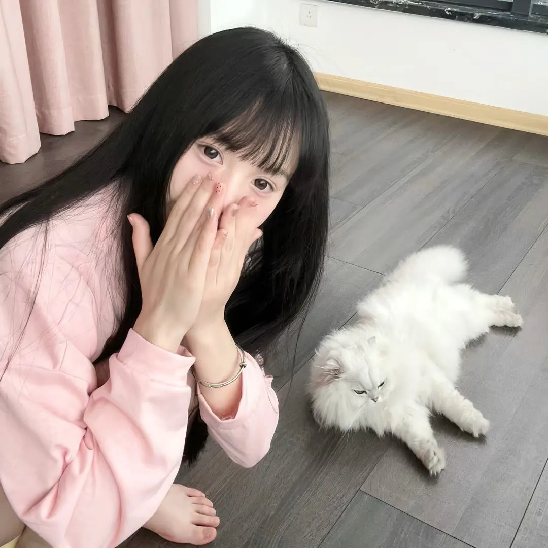 红鲨突击